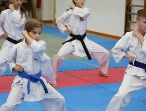 screenshot-2025-11-11-at-19-14-35-karate-kiokushinkaj-s-mihailom-czimermanom-poisk-v-google